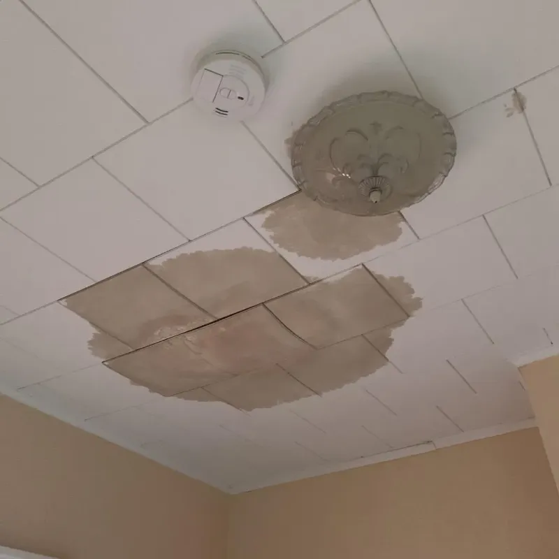 Ceiling Water Damage Repair in Leakesville, MS