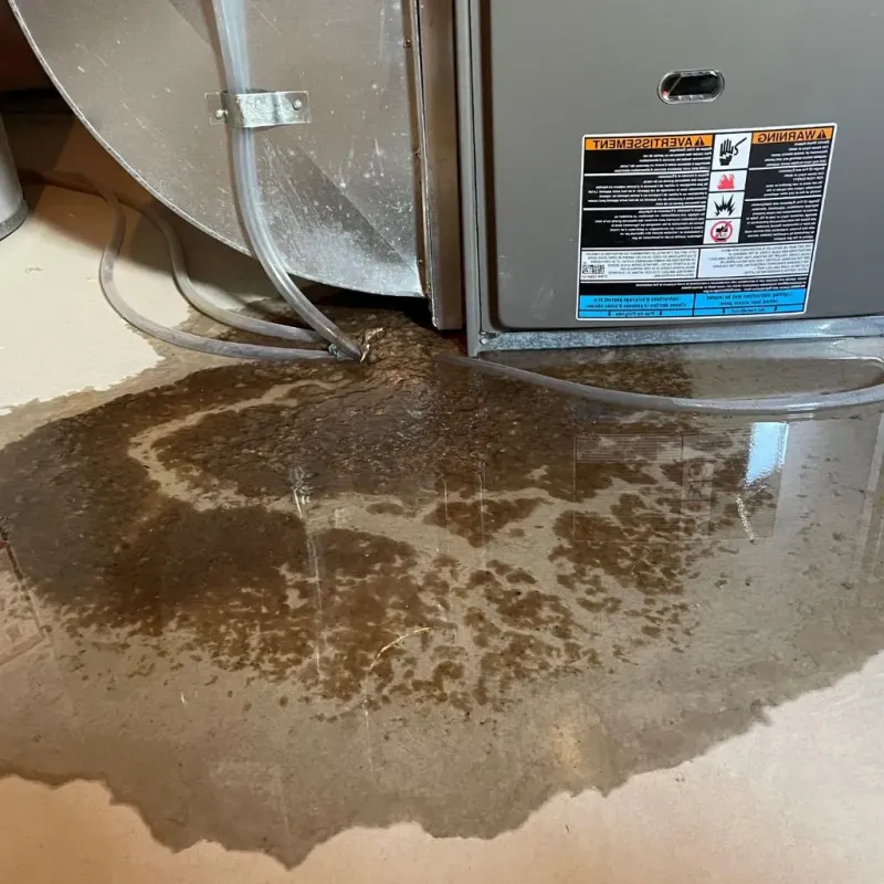 Pipe Burst and Leak Restoration in Leakesville, MS