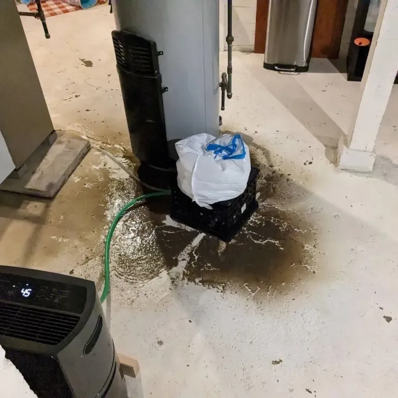 Sewage Backup Cleanup Service in Leakesville, MS